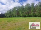 Działka położona w lesie niedaleko J. Białe - 900 m!