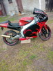 Sprzedam aprilia rs 50 /70 - 9