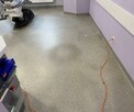 Czyszczenie i polimeryzacja wykładzin PCV, Linoleum, Kauczuk - 9