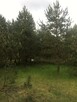 Działka budowlana w Pasymiu - 4