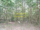 Działka Nad Zalewem W Domaniowie - Brudnów - 6