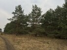 Działka budowlana w Pasymiu - 6