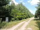 Działka Nad Zalewem W Domaniowie - Brudnów - 3