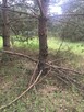 Działka budowlana w Pasymiu - 3