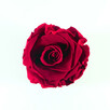 Ciemnoróżowa wieczna róża czarny mini flower box - 2