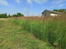 Koszenie trawy, nieużytków, arka bijakowa, karczowanie.Busko - 14