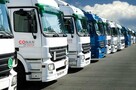 PŁYTKI OZDOBNE TARASOWE OGRODOWE BETONOWE PŁYTY CHODNIKOWE - 6