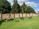 Agroturystyka Gęsiniec Stare Osieczno - 5