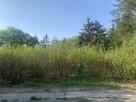 Atrakcyjna działka do wynajęcia 490 m2 URSYNÓW - 6