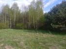 Działka leśna - 1