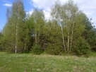 działki - 3