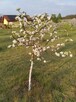 Posesja na sprzedaż - 15