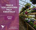 Poszukujemy Pracowników do sektora ogrodniczego!