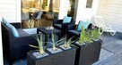 Domki Apartamentowe Rozgwiazdy 20 - 5