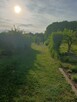 PROMOCJA! Wolne Działki rekreacyjne ROD ,,Zjednoczeni,, - 5
