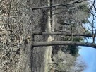 Sprzedam - 2