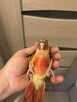 Papugi rudosterki ręcznie karmione - 9