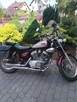 Yamaha Virago 125 - 1