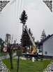 Wycinka Drzew Zwyżka rębak usuwanie korzeni Skawina - 6