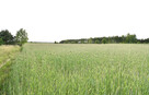 DZIAŁKA NA SPRZEDAŻ - 4