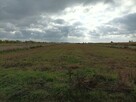 Działka budowlana Łady/Raszyn 5270 m2 - 3