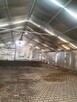 Sprzedam halę namiotową 720 m2 używaną, stan dobry Kielce - 4