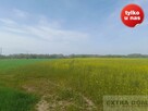 Działka Korytowo - 5