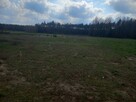 Działka rolna - 3