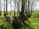 Działka pod stację benzynową w Krakowie 2655 m2 - 9