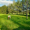 Sprzedam bezpośr. działkę inwest. i budowlaną 12 ar Florynka - 5