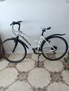 Rower WHEELER cross 6.2 - 4