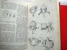 Mała encyklopedia medycyny PWN 1991 rok 3 tomy - 8
