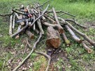 Drewno opałowe, gałęziówka, metry, opał - 10