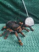 Zdalnie sterowana tarantula, duża, w pełni sprawna - 1