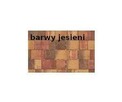 Kostka brukowa Trend - barwy jesieni - Bruk Czyżowice - 3