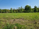 Wydzierżawię / wynajmę działki nad jeziorem w Szczutkowie - 7