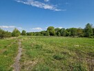 Wydzierżawię / wynajmę działki nad jeziorem w Szczutkowie - 6