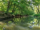 KAJAKI Spływy indywidualne Wypożyczalnia Zielona Góra - 8