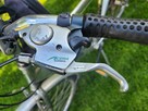 Rower trekkingowy Strelizzio, ALU - 2