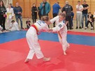 Judo - zajęcia dla dzieci. - 2