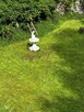 Sprzedam agroturystykę - 2