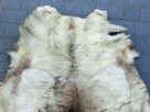 Naturalna skóra z renifera 160x90 cm - 3
