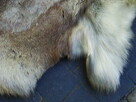 Naturalna skóra z renifera 160x90 cm - 5
