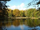 Piękna działka przy lesie, Sulmin, blisko Gdańska, wydane WZ - 11