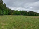 Piękna działka przy lesie, Sulmin, blisko Gdańska, wydane WZ - 2