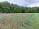 Piękna działka przy lesie, Sulmin, blisko Gdańska, wydane WZ - 5