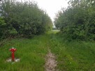 Działka rolno - budowlana 0,86 ha na Hucie powiat puławski - 3