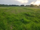 Działka rolno - budowlana 0,86 ha na Hucie powiat puławski - 2