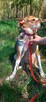 Muminka, nieduża sunia, cicha, nieśmiała, spokojna, adoptuj - 3