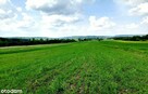 działki rolne i leśna, Żurawnica, gm. Zwierzyniec - 9